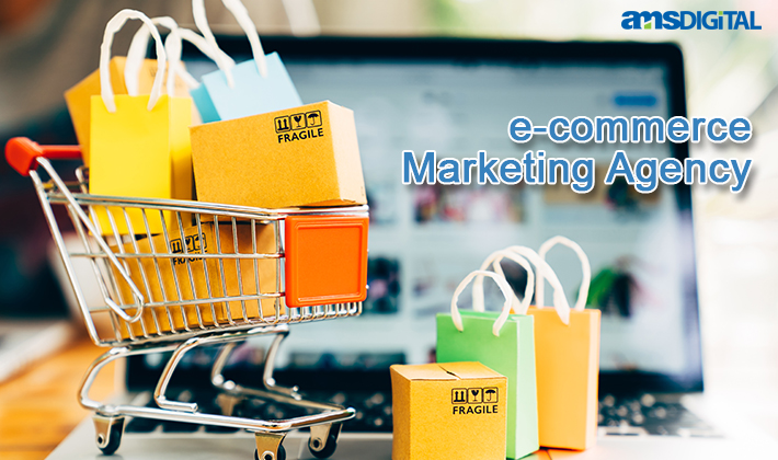 What Does an E-Commerce Marketing Agency do?
